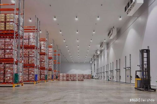 国内知名农产品冷库厂商推荐及技术服务解析